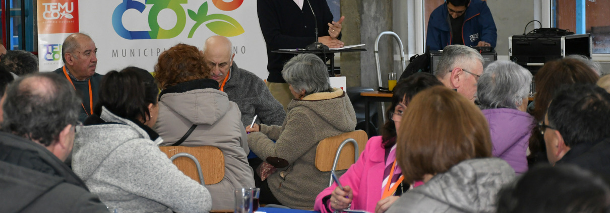 Plan Revive Temuco Fortalece Participaci N Ciudadana Con Segundo Taller